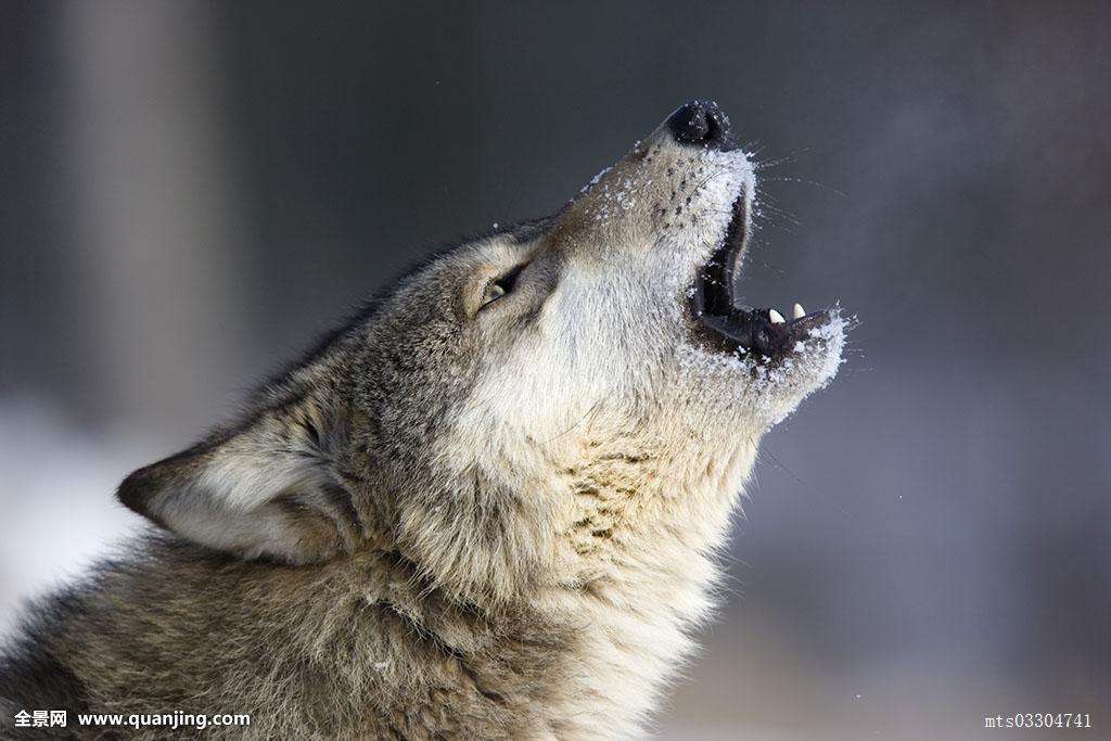 2019创业最佳时机,2019年优质创业商机有哪些