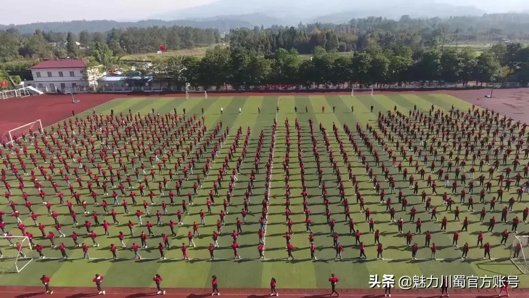 五育并举融合育人体育篇,五育并举体育公开课