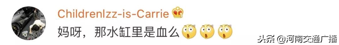 Recvfailure:Connectionwasreset