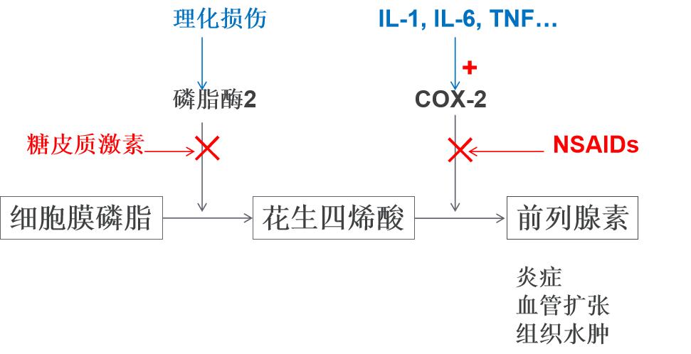 幼年特发性关节炎全身型治愈率,幼年特发性关节炎中医怎么调理