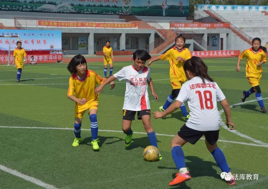 法库东湖小学足球比赛,浔阳区小学生校园足球秋季联赛