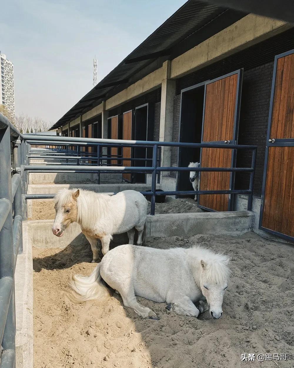 阿那亚必打卡地,阿那亚网红打卡地