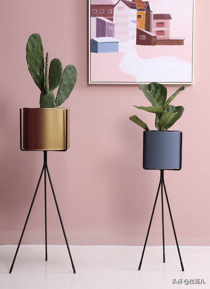 碧桂园阳台花园打造方法,50平打造网红阳台