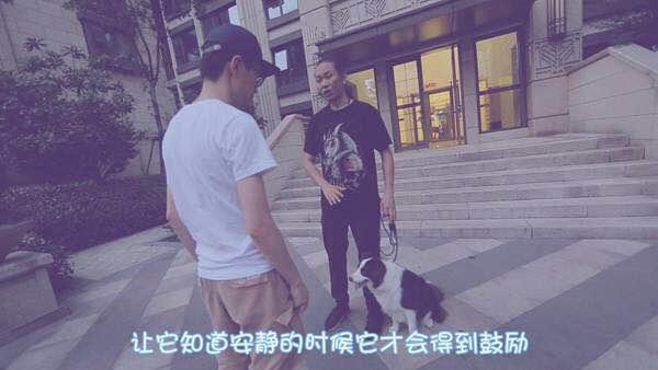 狗狗习惯性扑人怎么办？几个训练小技巧就能解决