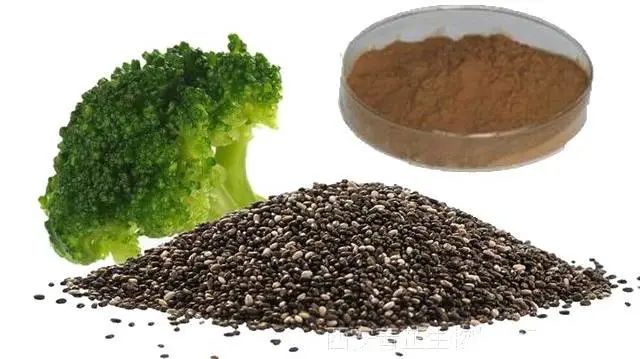 西兰花种子固体饮料的作用,西兰花种子水提取物功效