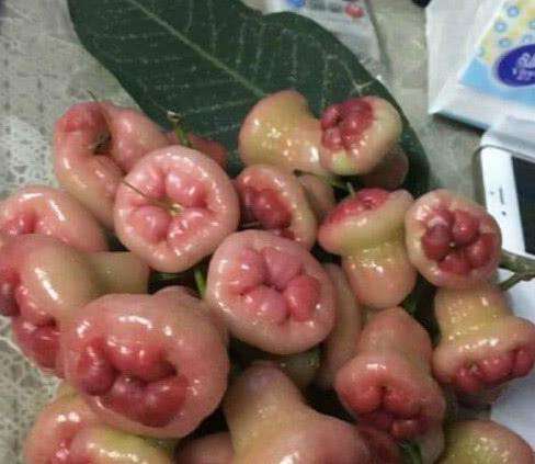 如果医护人员出摊，他们能提供哪些服务？第一个我就笑喷了