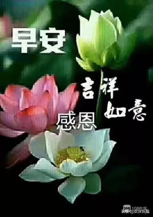 看透人生的唯美句子早安,伤感感悟人生语录早安