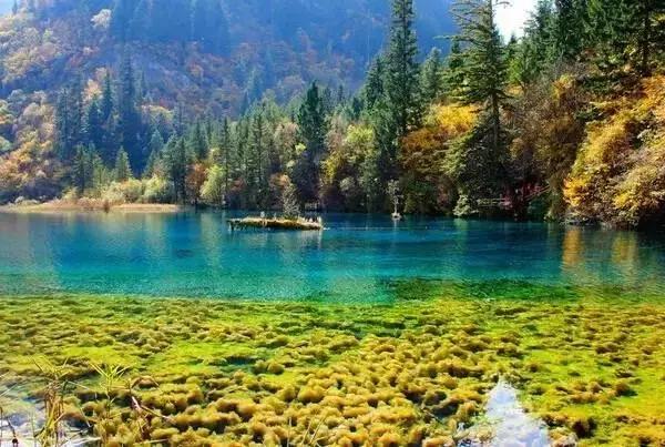 旅行社内部人员揭秘,旅行社吃住行全包陷阱