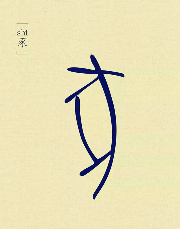 猪的基础知识有哪些,关于猪的冷知识小视频