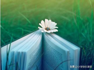 小学三年级关于观察类的作文,三年级上册语文观察动物作文