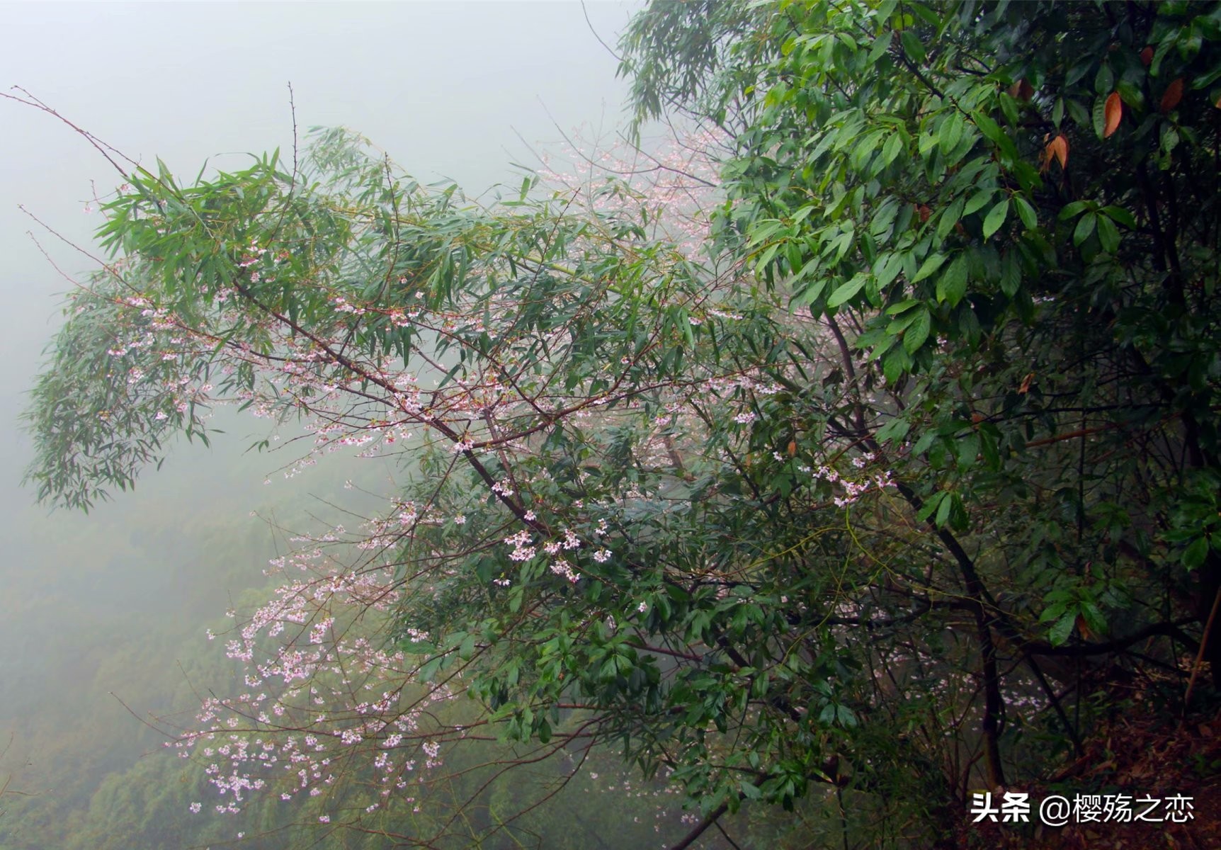 浙江三爿石旅游攻略,浙江唯一的世界自然遗产