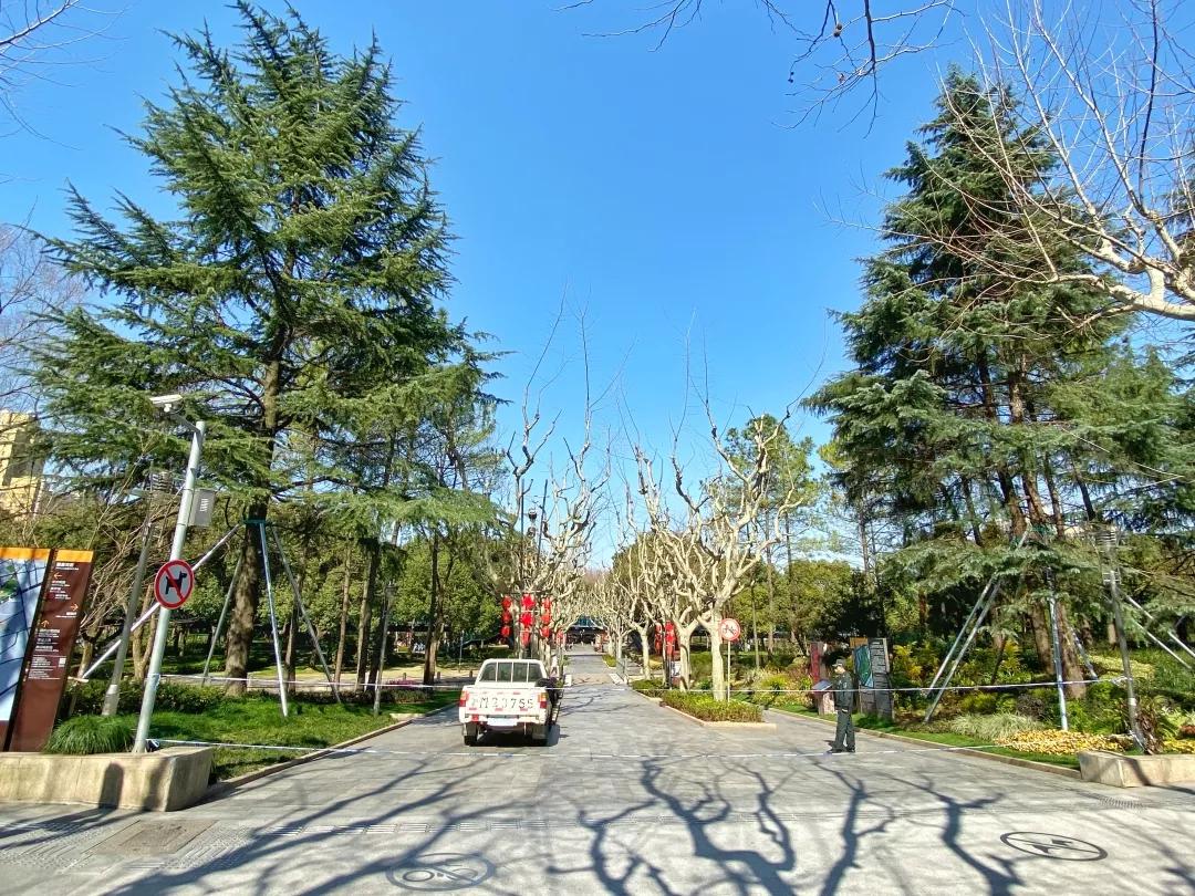 上海2月4日天气,上海2月10日天气