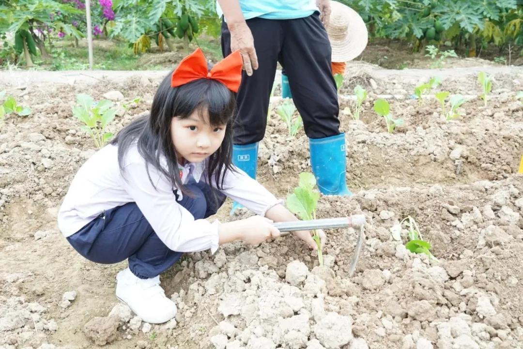 广州白水寨度假区酒店推荐,这家酒店