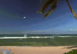 飞机坠毁为什么没有任何生命迹象,飞机坠毁的原因飞机为什么会坠毁