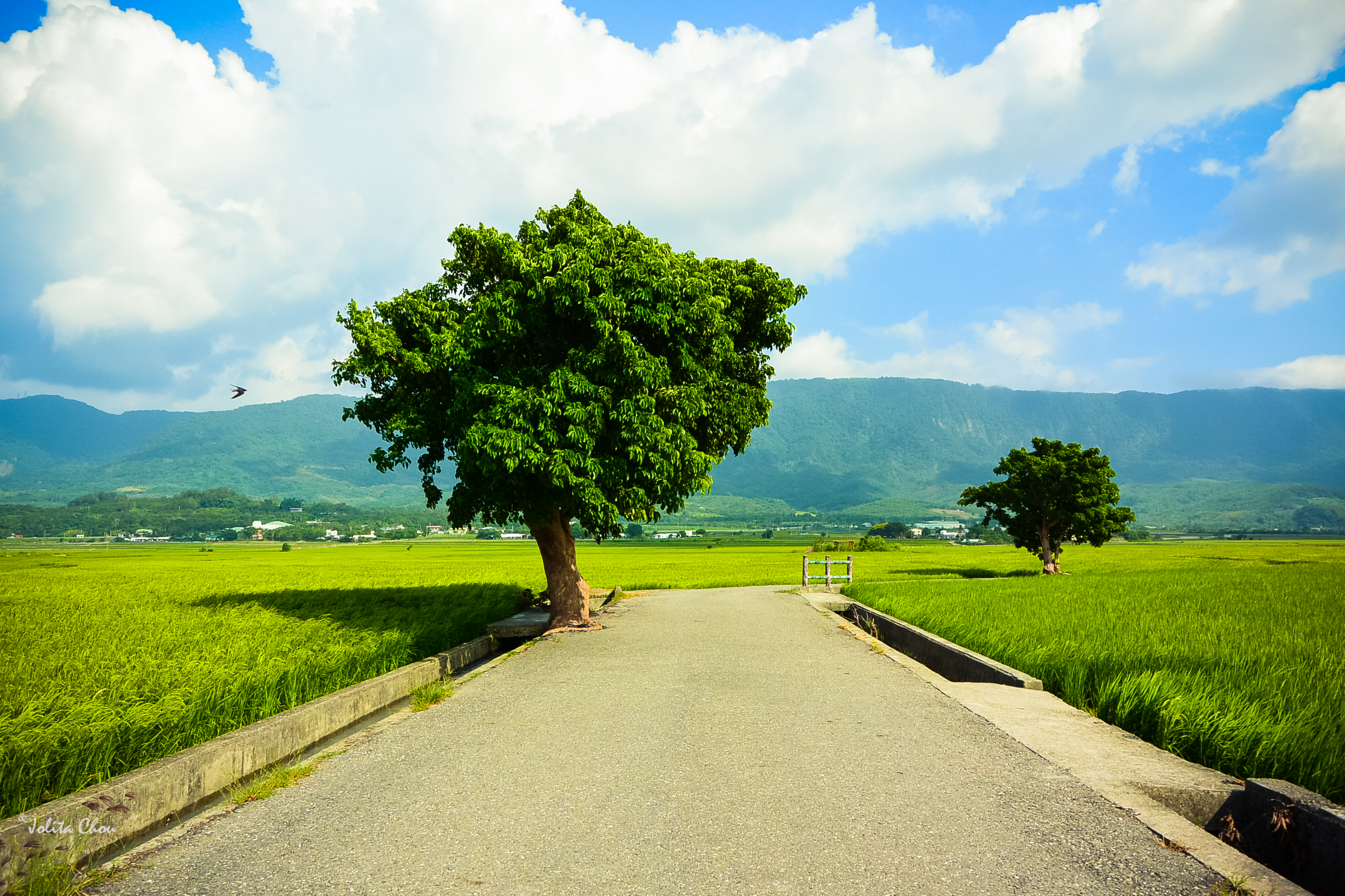 台湾东海岸攻略,台湾自由行旅游路线图攻略