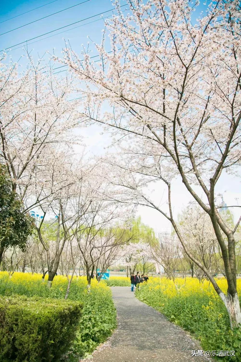 原来武汉有这么多好玩的打卡地,武汉周边新晋7大网红打卡地