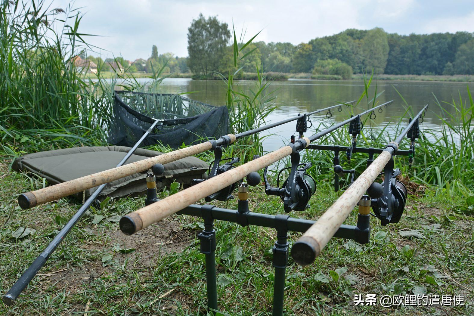 欧鲤钓鱼竿杆包,欧鲤钓竿的选择