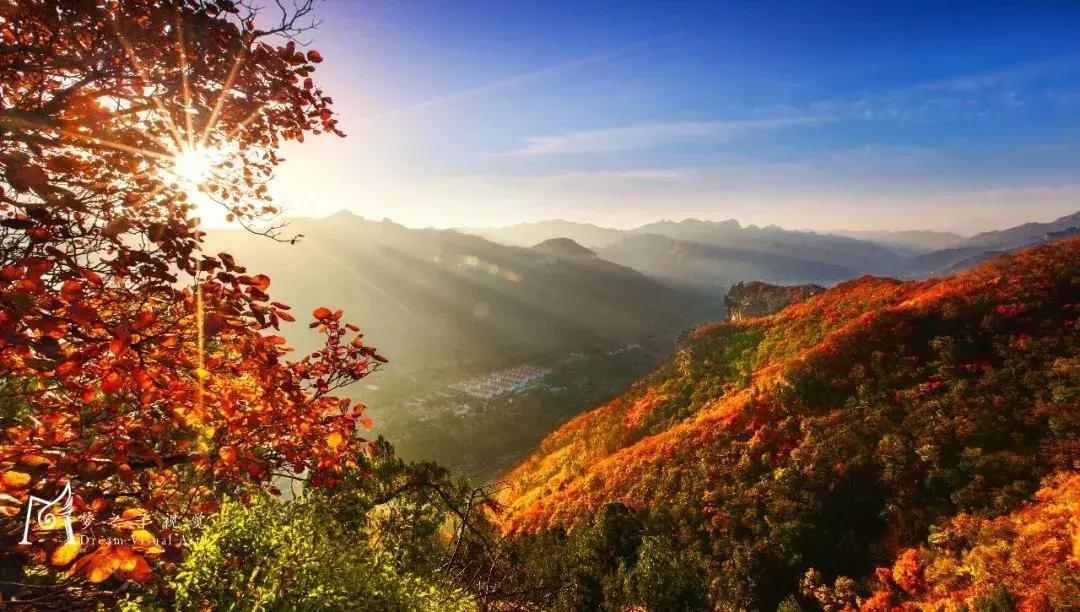 潍坊五一免费旅游景点推荐,潍坊五一去哪旅游推荐