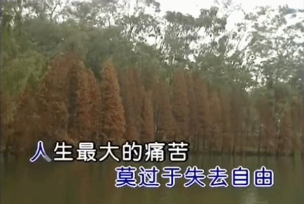 为什么唱歌不好听的喜欢去ktv,越来越不喜欢去ktv里唱歌