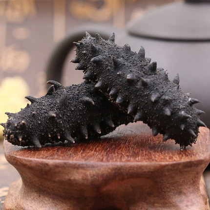 海参煮完发白怎么办,海参发白是什么意思