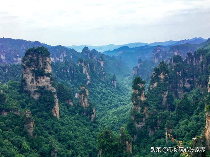 到张家界天门山自助游价格多少钱,武汉到张家界天门山三日游