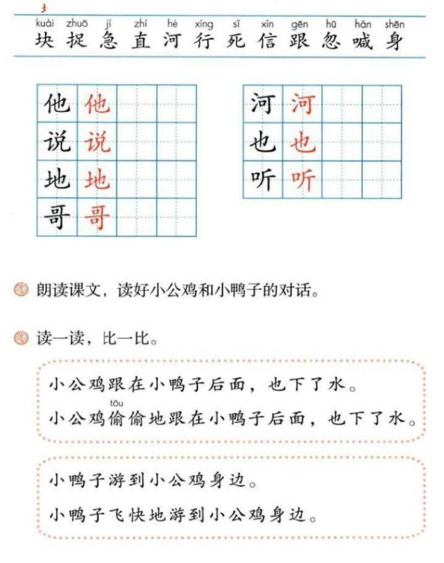 一年级课文小公鸡和小鸭子重点,一年级语文下册小公鸡和小鸭子