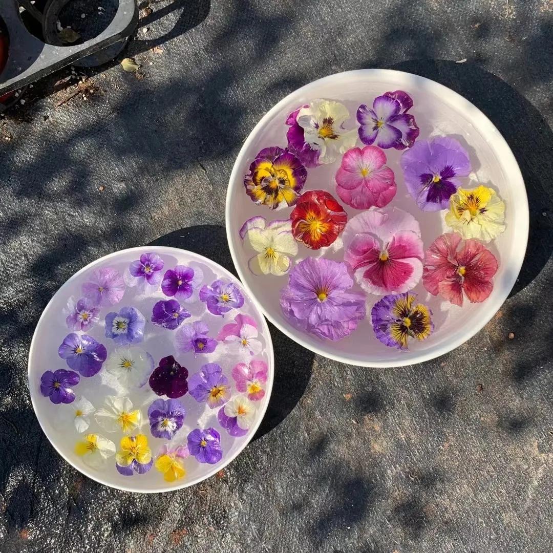 寒潮来袭，你的阳台也能开出这样的“水晶花”