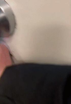 我家狗子被日托所开除了，哈哈哈哈哈笑喷了