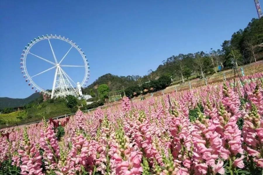 揭阳望天湖景区,揭阳望天湖景区门票