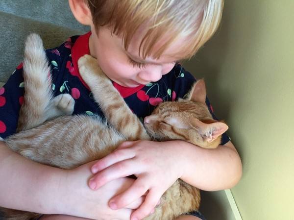 小金毛被主人教训视频,小主人被教训狗狗害怕的发抖