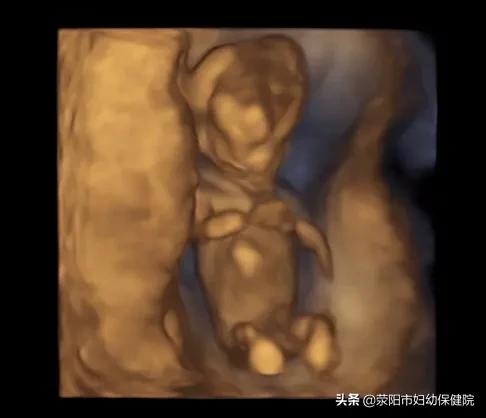 新冠后备孕检查,孕妇新冠诊疗手册