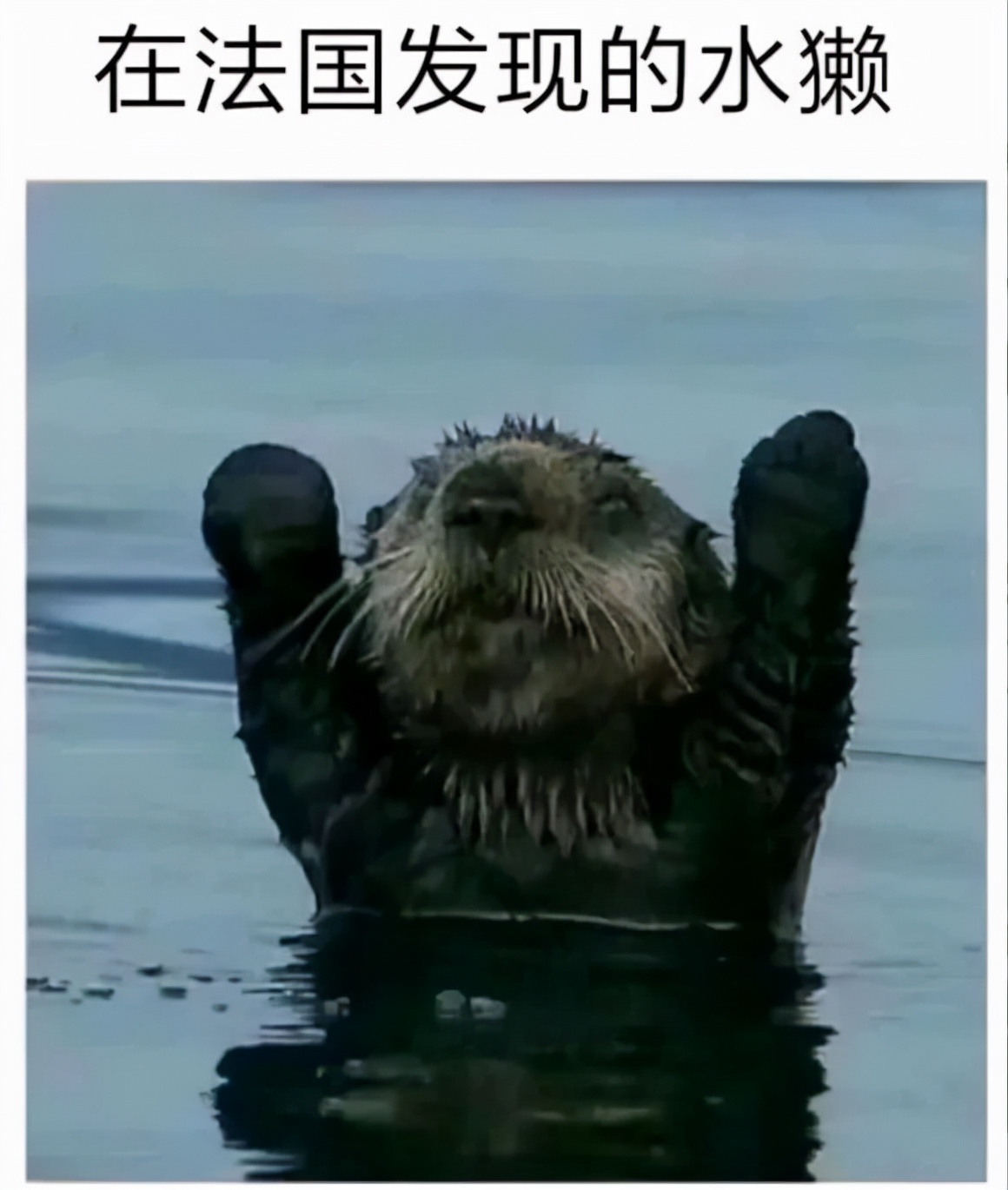 公关的101个误区,公关切忌重术轻道