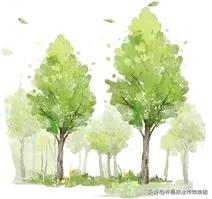 许昌哪个村？95%以上的村民都在跟“树”打交道