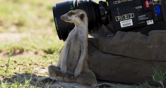 bbc纪录片最值得看的,bbc神级纪录片豆瓣评分超9