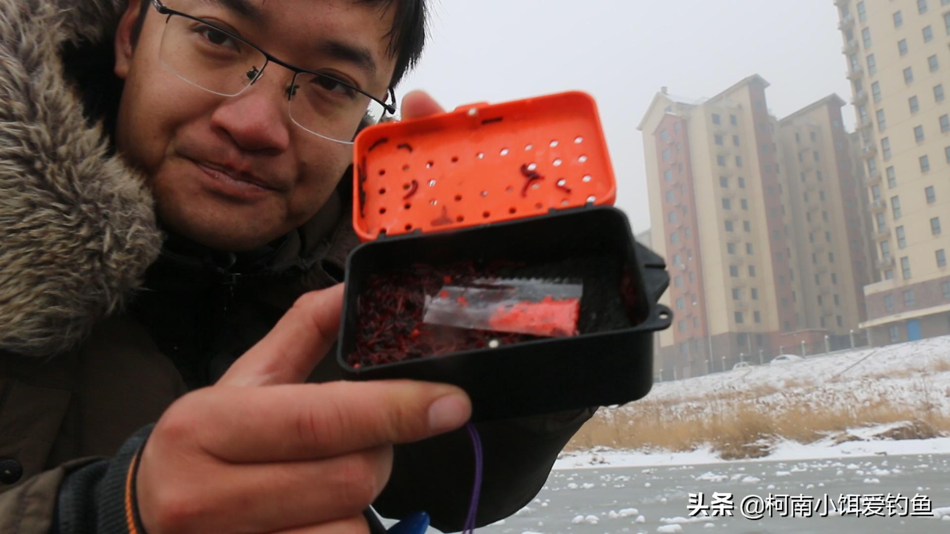 窑坑钓鱼三大忌,窑坑怎么钓浮