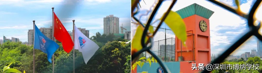 深圳南山这所宝藏国际学校，带你去打卡