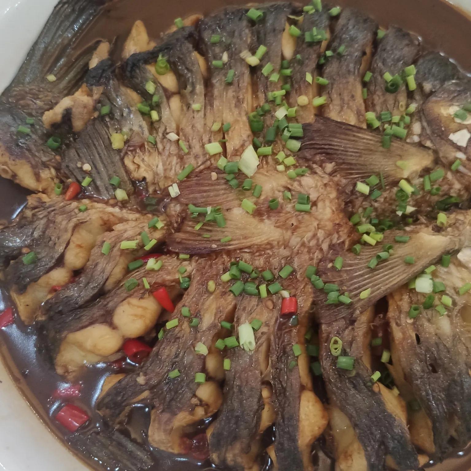 桂林旅游聚龙潭,风景如画桂林阳朔旅游攻略