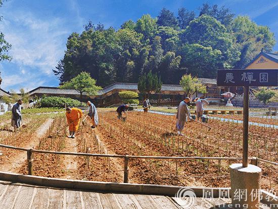 五祖寺和五祖禅院有什么区别,农禅合一起源