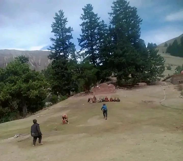 大学生去西藏支教的真实感受,真实的藏区支教