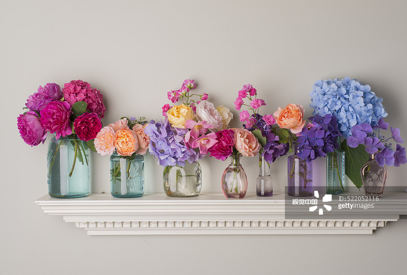 6种美好的花儿，陪你走过整个夏天的各个节气