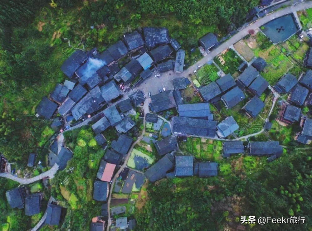 全网为阿朵淘汰鸣不平，而我想去她隐居5年的“世外桃源”静一静