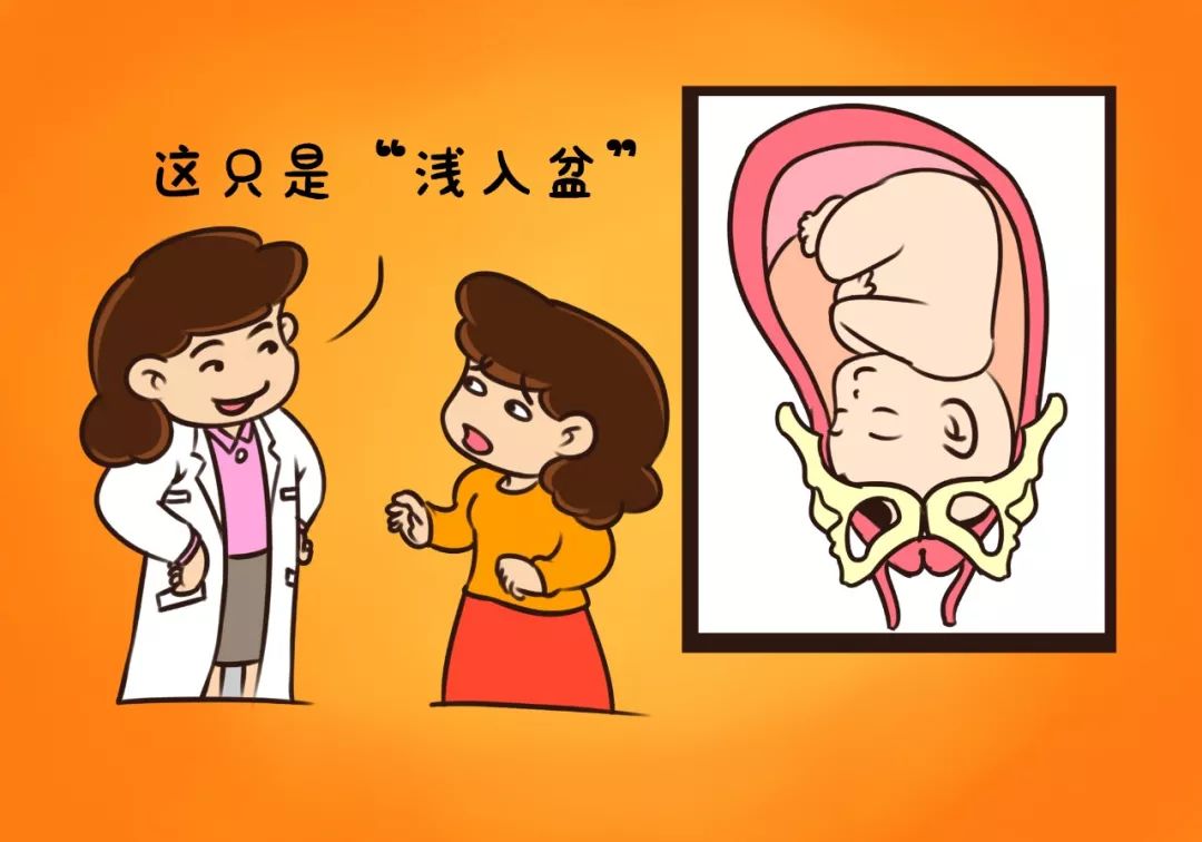 胎动位置和胎位有关系吗,胎动多数在左边有什么说法