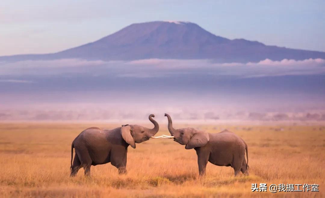 第16届国际摄影艺术展获奖作品,第29届全国摄影艺术展览作品集