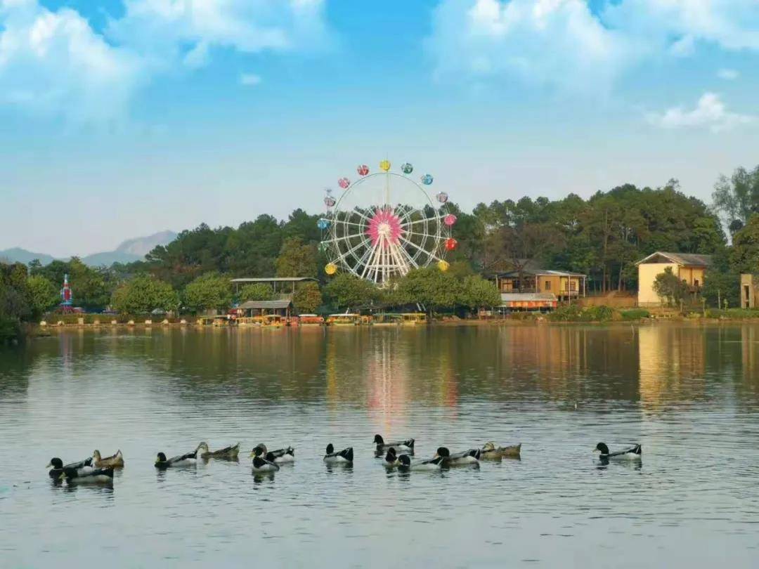 清远森波拉温泉奇妙世界,清远森波拉温泉旅游攻略