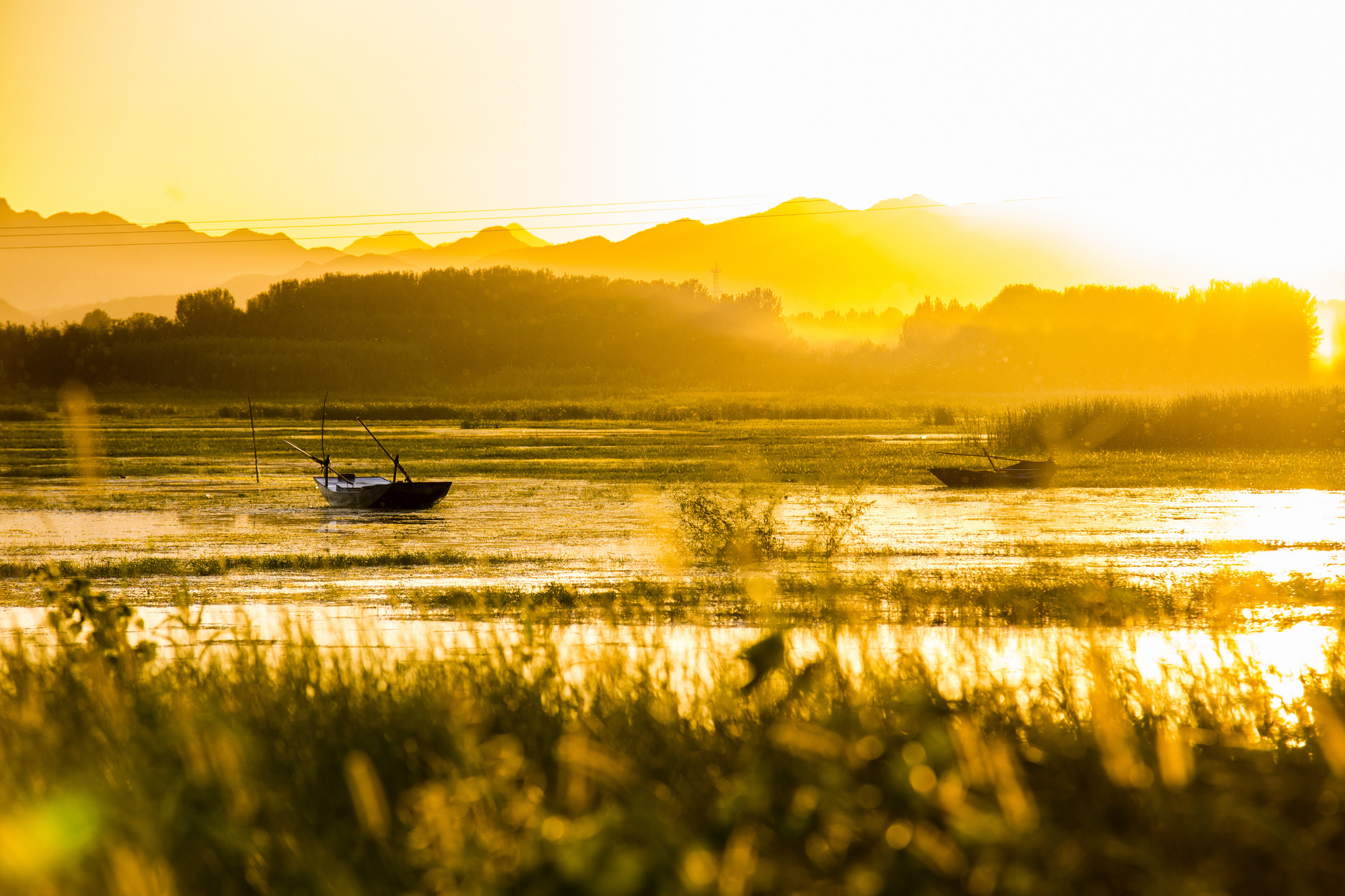 九首禅意诗让你内心安定舒适十足,静美诗全文