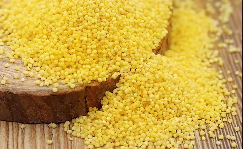 小米五谷养生,五谷杂粮小米养人