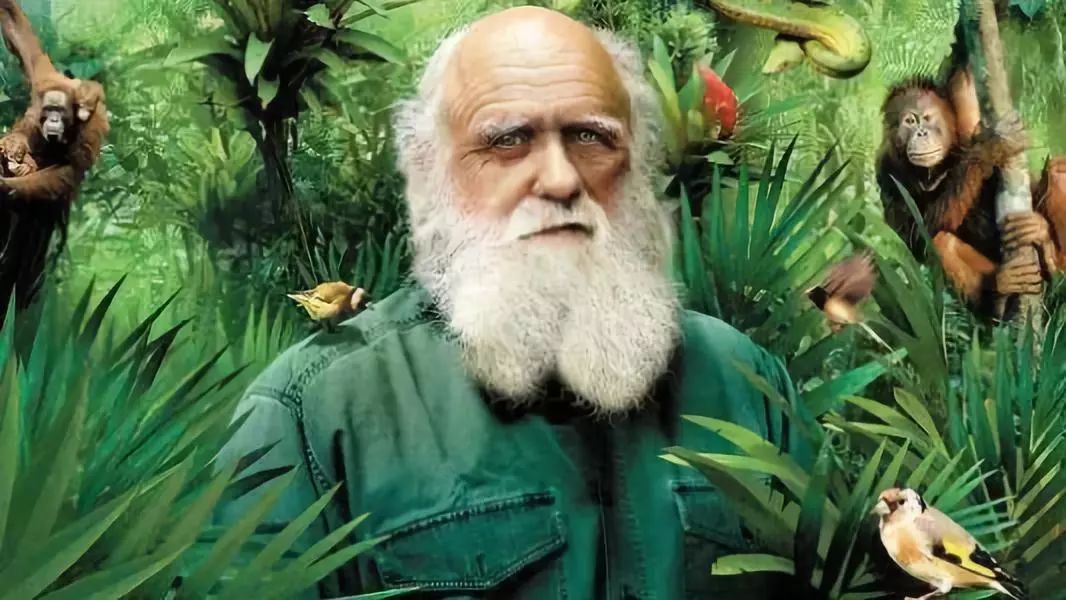 考古发现疑似“远古外星人”证据，人类的起源让人细思极恐