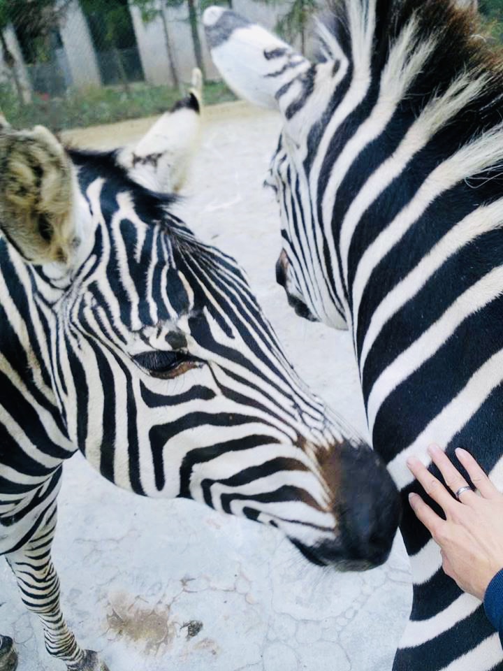 朵拉爱萌全部视频,朵拉爱萌3岁