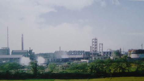 神秘的辉煌,神秘辉煌