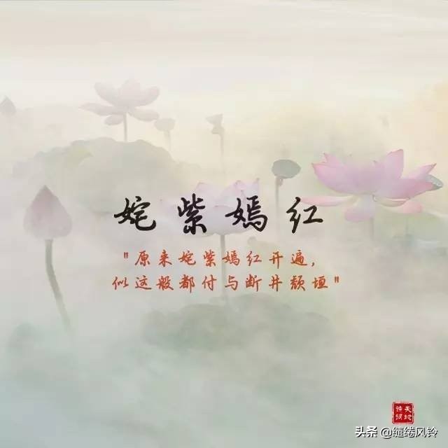 古诗词里的绝美成语,古诗词中绝美成语